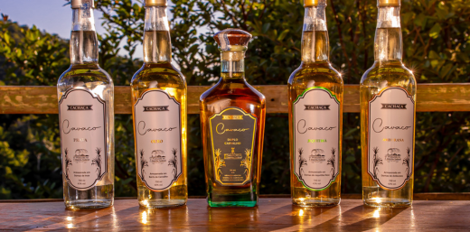 Todas as Coleção Cachaça Cavaco