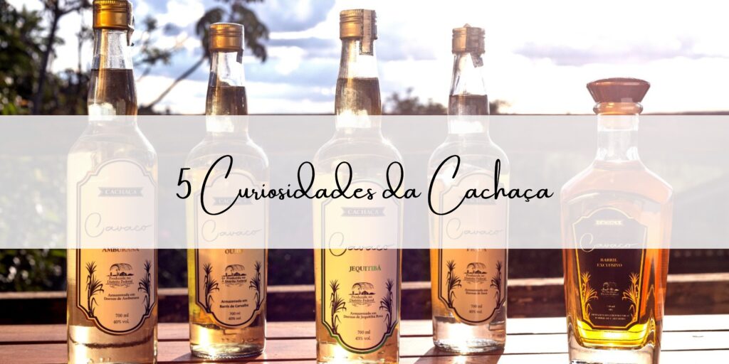 5 Curiosidades da Cachaça