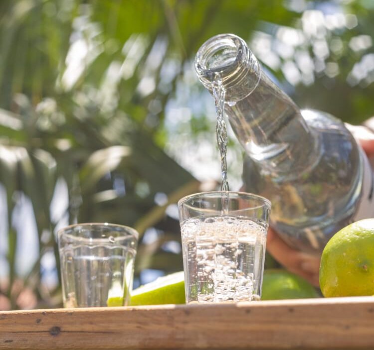Como Fazer Cachaça Artesanal: Guia Completo para Produção em Casa 1 Cachaça Prata